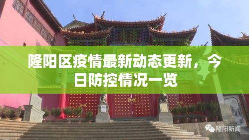 隆阳区疫情最新动态更新，今日防控情况一览