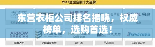东营衣柜公司排名揭晓，权威榜单，选购首选！