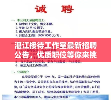 湛江接待工作室最新招聘公告，优质职位等你来挑战！