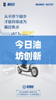 今日油坊创新动态，可持续发展引领行业新动向