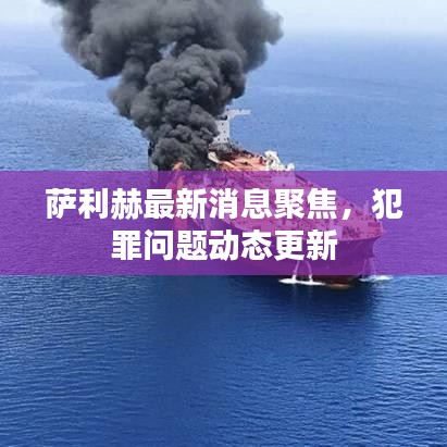 萨利赫最新消息聚焦，犯罪问题动态更新