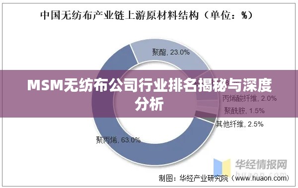 MSM无纺布公司行业排名揭秘与深度分析