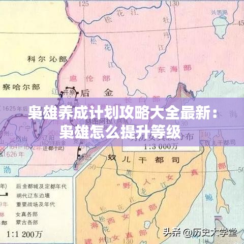 枭雄养成计划攻略大全最新：枭雄怎么提升等级 