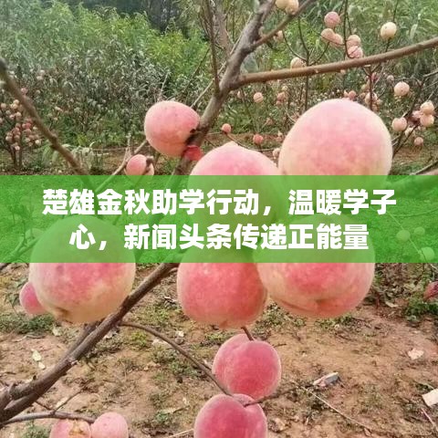 神清气爽 第3页