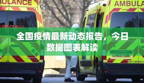 全国疫情最新动态报告，今日数据图表解读