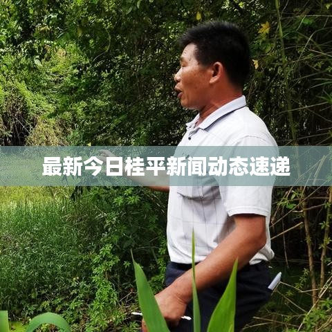 绝代佳人 第3页