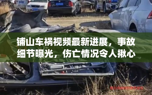 漫天飞舞 第3页