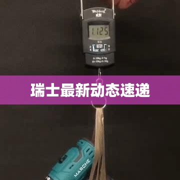 瑞士最新动态速递