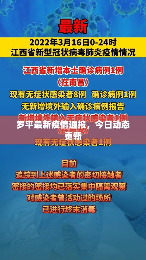 罗平最新疫情通报，今日动态更新