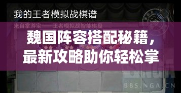 魏国阵容搭配秘籍，最新攻略助你轻松掌握！