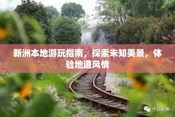 新洲本地游玩指南，探索未知美景，体验地道风情