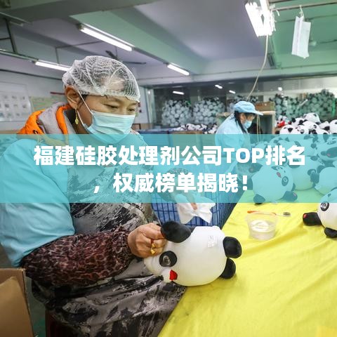 福建硅胶处理剂公司TOP排名，权威榜单揭晓！