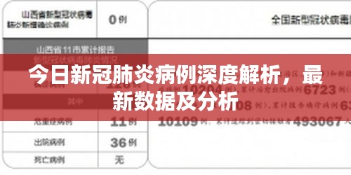 今日新冠肺炎病例深度解析，最新数据及分析