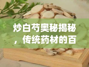 炒白芍奥秘揭秘，传统药材的百度探寻之旅