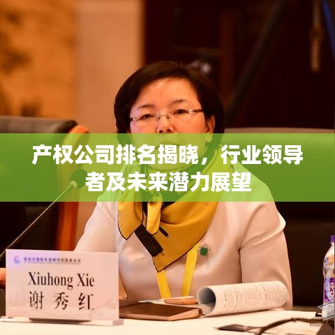 产权公司排名揭晓，行业领导者及未来潜力展望