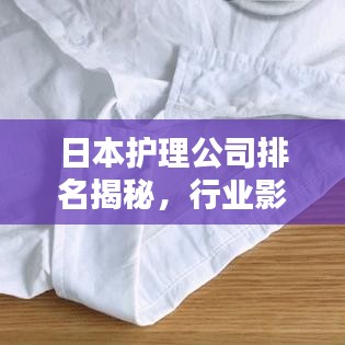 日本护理公司排名揭秘，行业影响力与服务质量评估