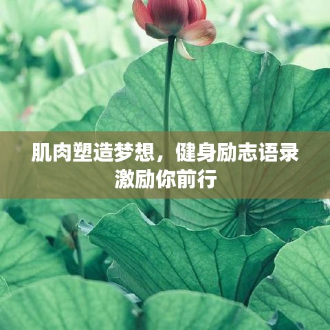 肌肉塑造梦想，健身励志语录激励你前行