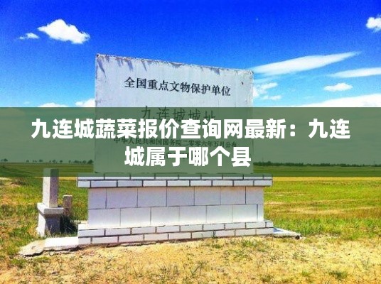 九连城蔬菜报价查询网最新：九连城属于哪个县 