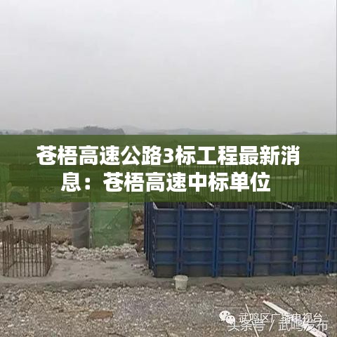苍梧高速公路3标工程最新消息：苍梧高速中标单位 