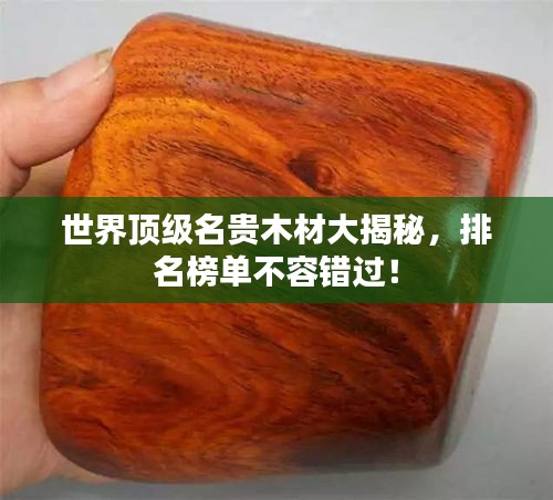 蚁出蚋飞 第2页