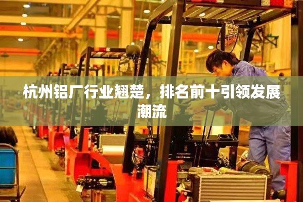 杭州铝厂行业翘楚，排名前十引领发展潮流