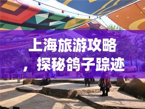 上海旅游攻略，探秘鸽子踪迹，感受城市魅力