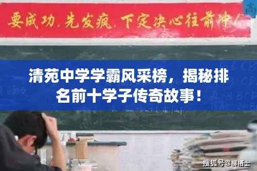 清苑中学学霸风采榜，揭秘排名前十学子传奇故事！