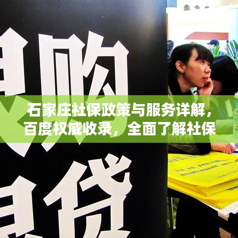 石家庄社保政策与服务详解，百度权威收录，全面了解社保资讯