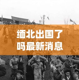 缅北出国了吗最新消息：缅北最后回国时间 