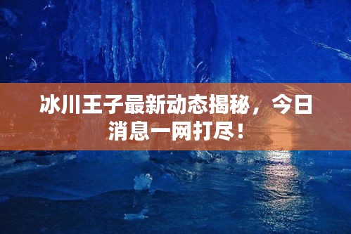 冰川王子最新动态揭秘，今日消息一网打尽！