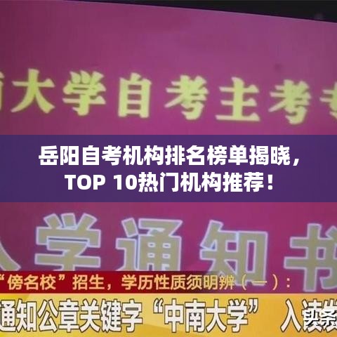 岳阳自考机构排名榜单揭晓，TOP 10热门机构推荐！