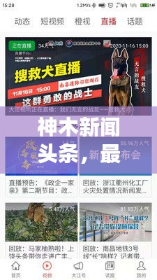 神木新闻头条，最新资讯、下载地址一网打尽