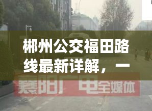郴州公交福田路线最新详解，一站式掌握所有站点信息
