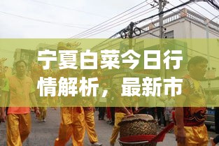 宁夏白菜今日行情解析，最新市场动态，不容错过！