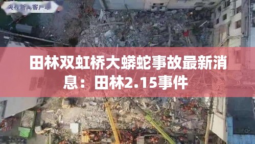 田林双虹桥大蟒蛇事故最新消息：田林2.15事件 