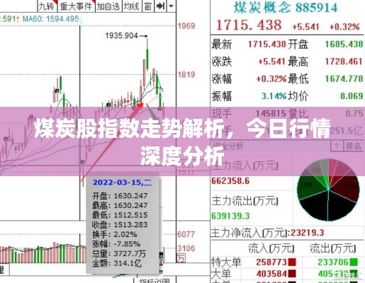 煤炭股指数走势解析，今日行情深度分析