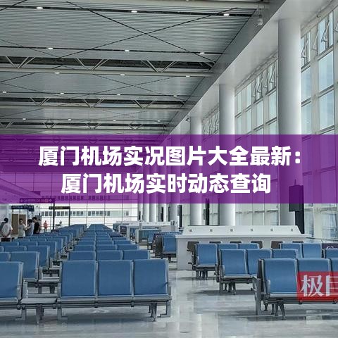 厦门机场实况图片大全最新：厦门机场实时动态查询 