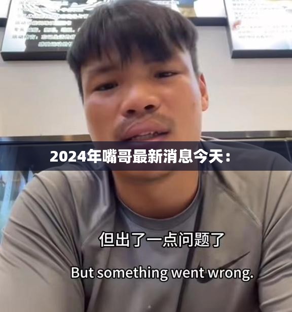 2024年嘴哥最新消息今天： 