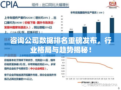 咨询公司数据排名重磅发布，行业格局与趋势揭秘！