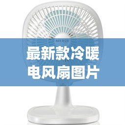 最新款冷暖电风扇图片及价格：冷暖风扇怎么使用的视频 