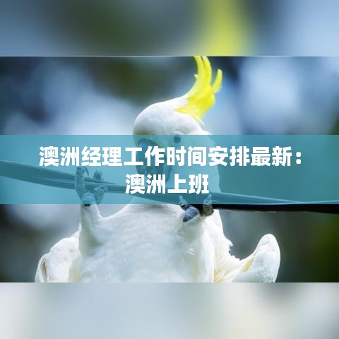 张冠李戴 第3页