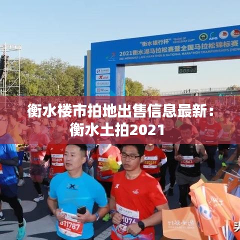 衡水楼市拍地出售信息最新：衡水土拍2021 