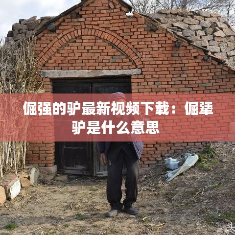 倔强的驴最新视频下载：倔犟驴是什么意思 