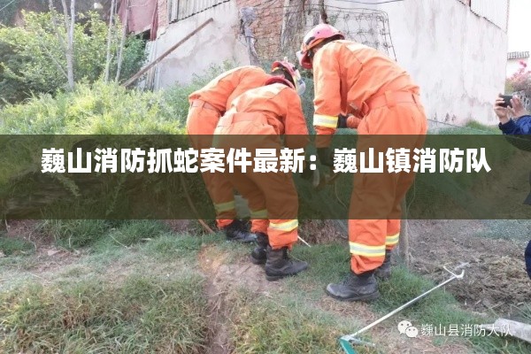 巍山消防抓蛇案件最新：巍山镇消防队 