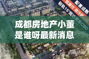 成都房地产小董是谁呀最新消息：成都房地产大亨 