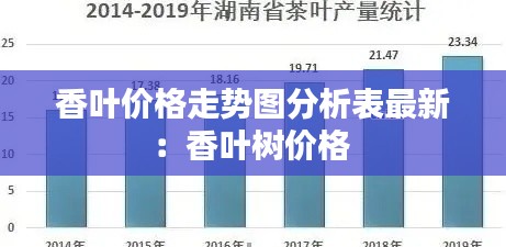 香叶价格走势图分析表最新：香叶树价格 