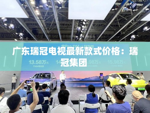 广东瑞冠电视最新款式价格：瑞冠集团 
