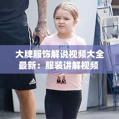 不求甚解 第3页