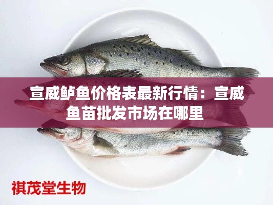 宣威鲈鱼价格表最新行情：宣威鱼苗批发市场在哪里 