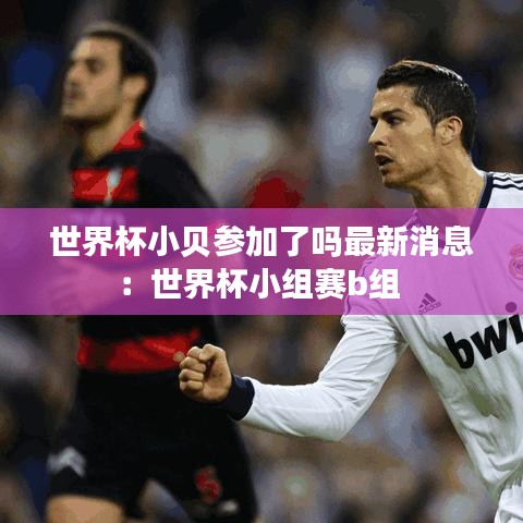 世界杯小贝参加了吗最新消息：世界杯小组赛b组 